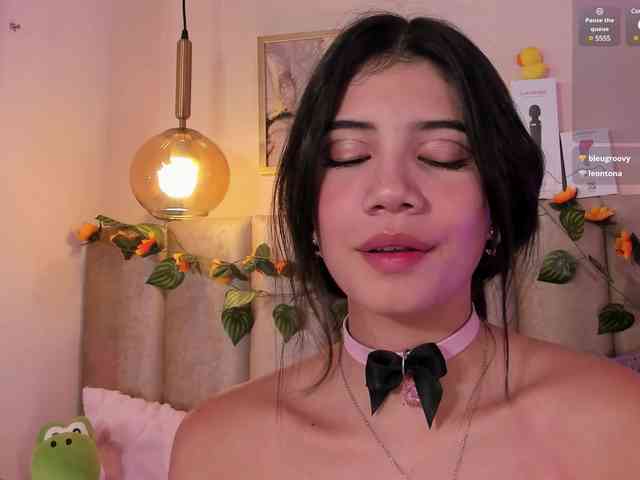 pikayle webcam