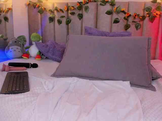 pikayle webcam