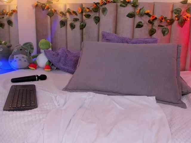 pikayle webcam