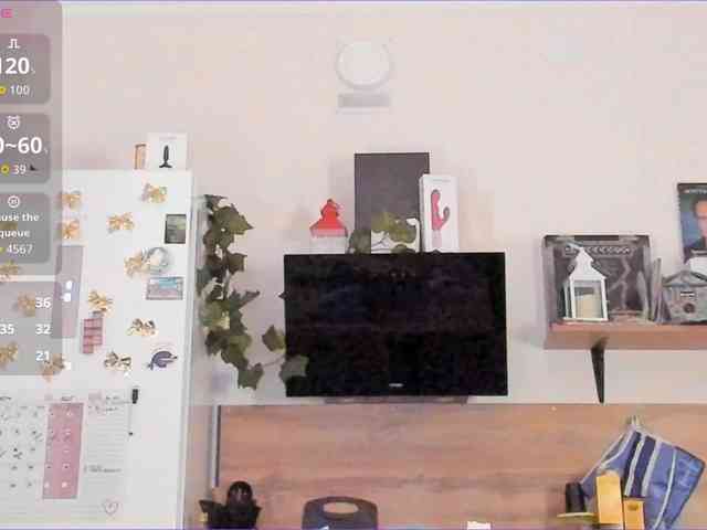 FindMyGSpot webcam
