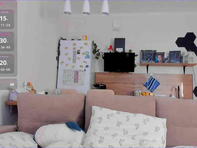 FindMyGSpot webcam