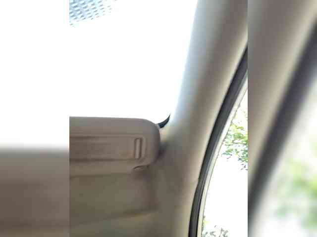Ameli-na-meli webcam
