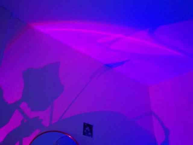 -sweetdreamss- webcam