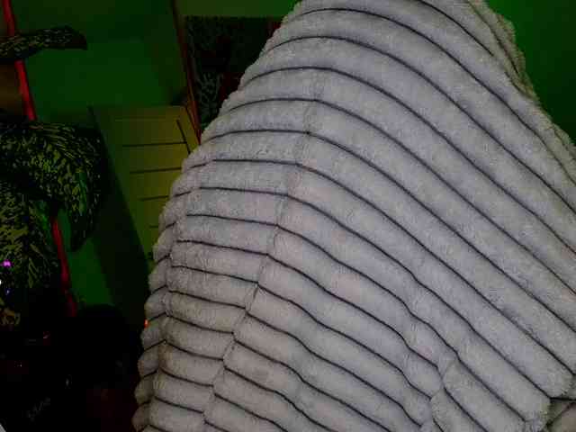 -sweetdreamss- webcam