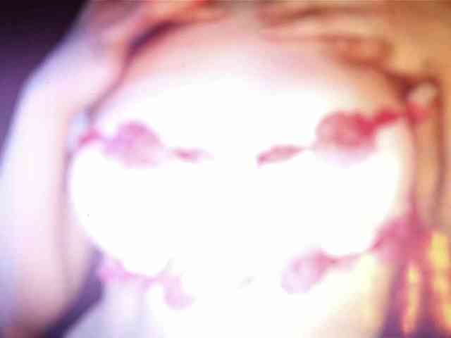 -sweetdreamss- webcam