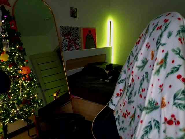 -sweetdreamss- webcam