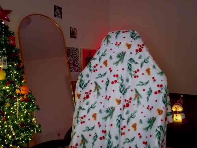 -sweetdreamss- webcam