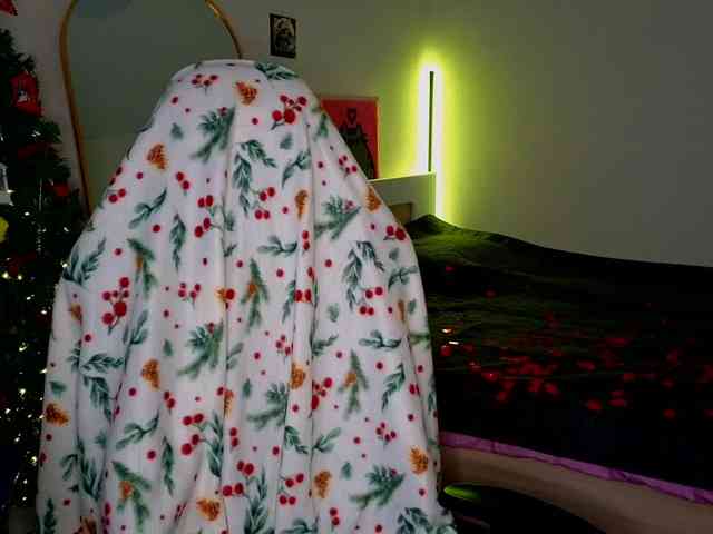 -sweetdreamss- webcam