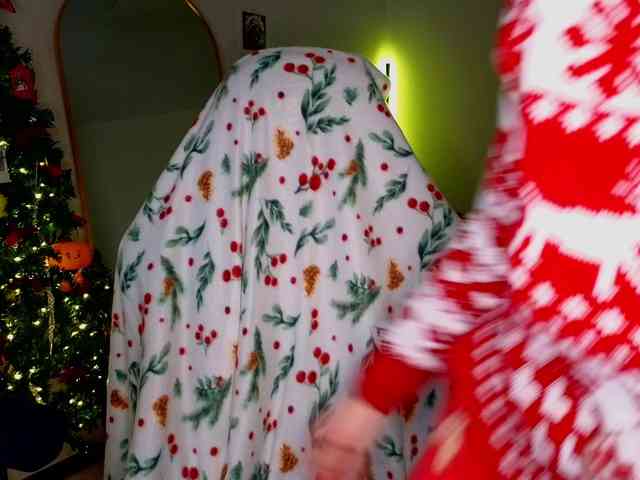 -sweetdreamss- webcam