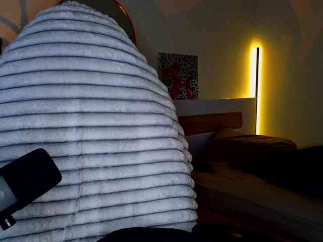 -sweetdreamss- webcam