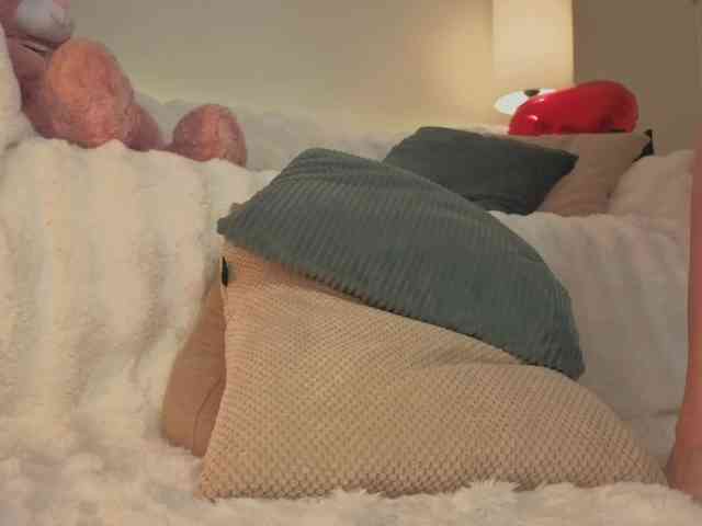 milli-sunrise webcam