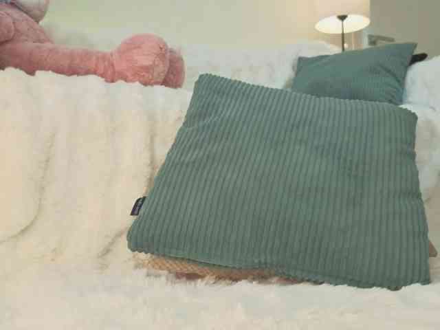 milli-sunrise webcam