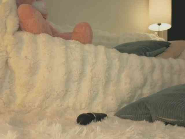 milli-sunrise webcam