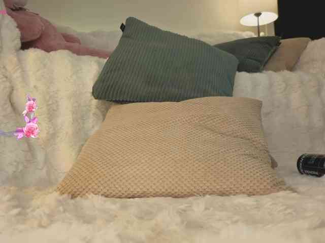 milli-sunrise webcam