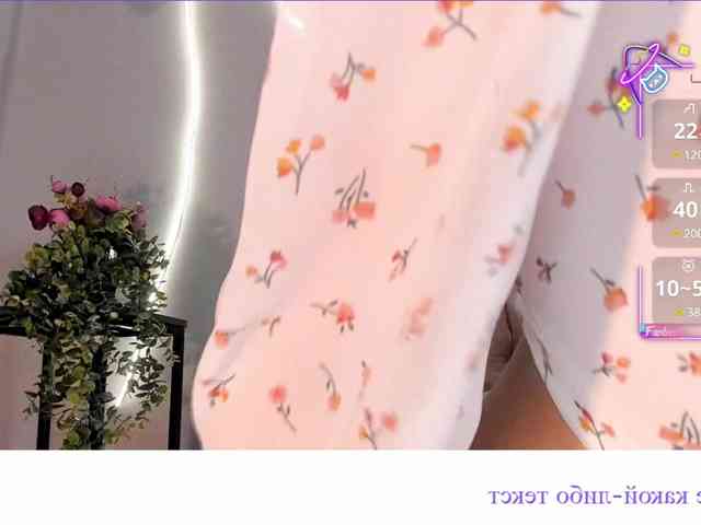 milli-sunrise webcam