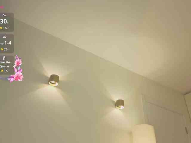 milli-sunrise webcam