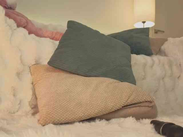 milli-sunrise webcam