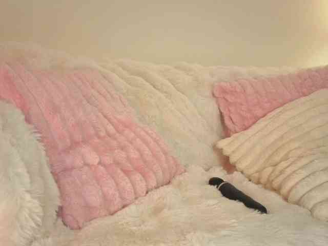 milli-sunrise webcam