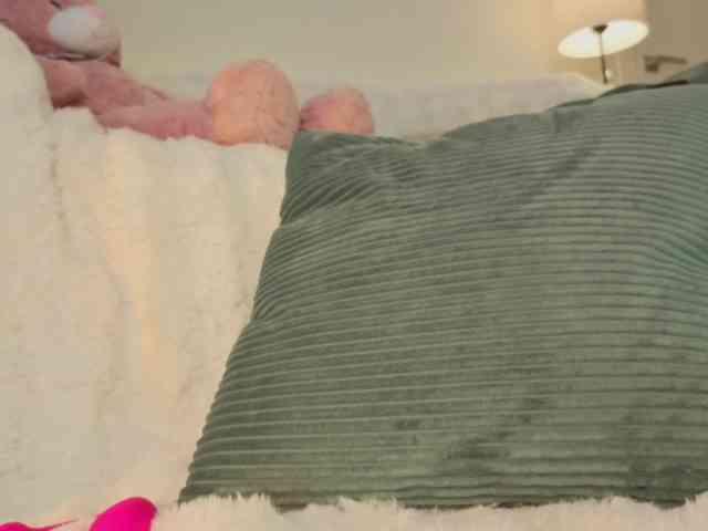 milli-sunrise webcam