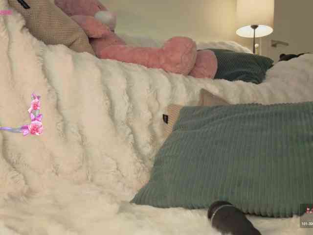 milli-sunrise webcam