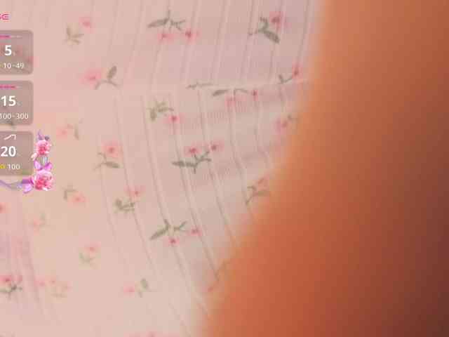 milli-sunrise webcam