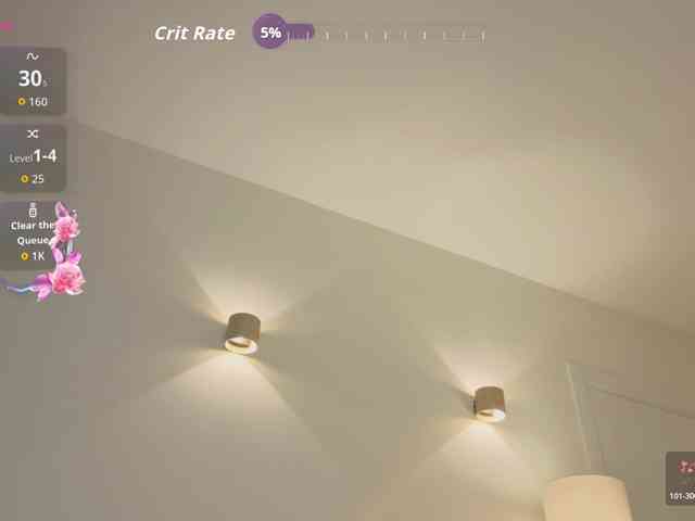 milli-sunrise webcam