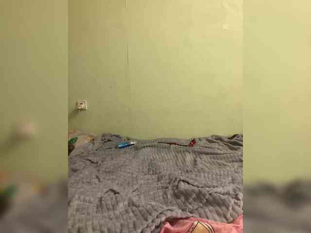 Mileshil webcam