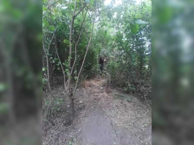 HataliaIhor
