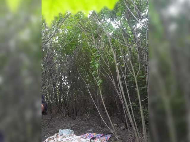 HataliaIhor