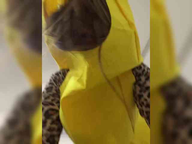 -LeiaProseccina- webcam