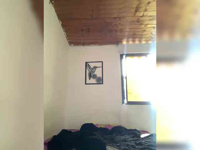 Vennus1 Live Webcam on BongaCams Vennus1 Live Webcam on BongaCams