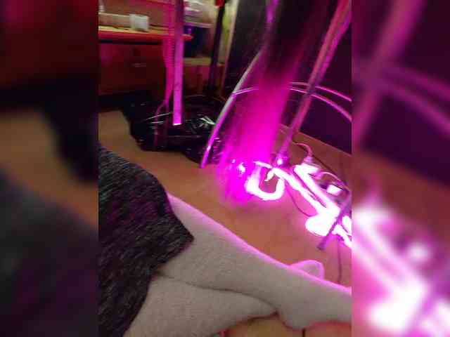 ShibariRoom webcam