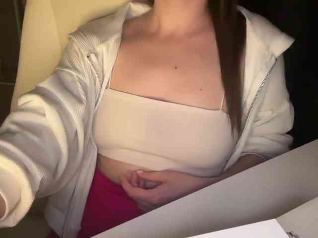emisun webcam