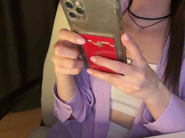 emisun webcam