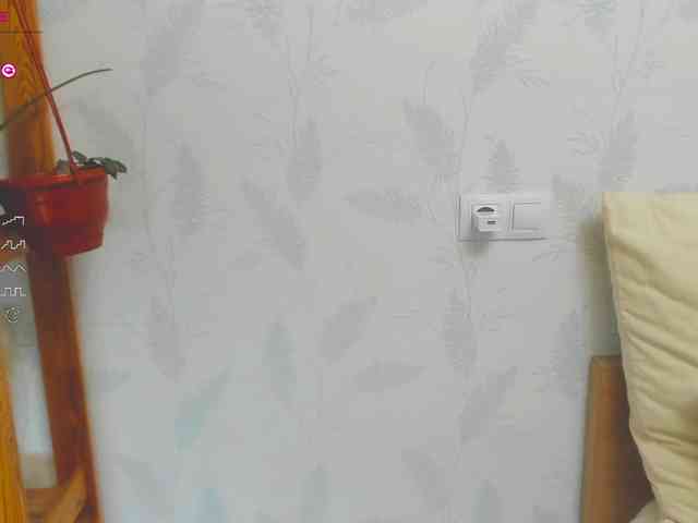 Kelly-Klein webcam