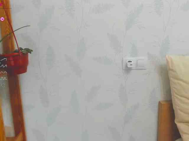 Kelly-Klein webcam