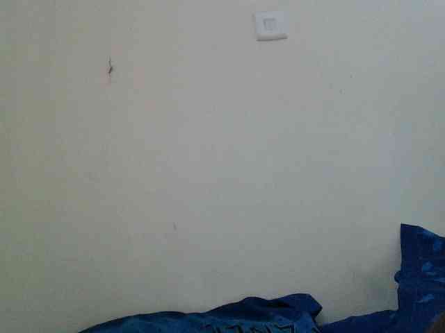Bad-gyl webcam