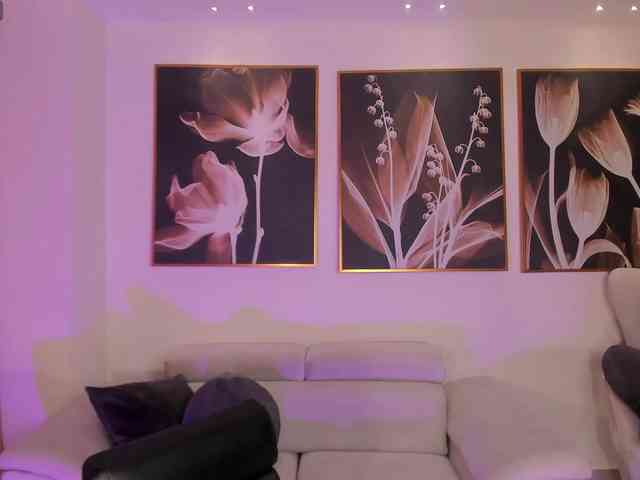 ValeriaRoldan ValeriaRoldan