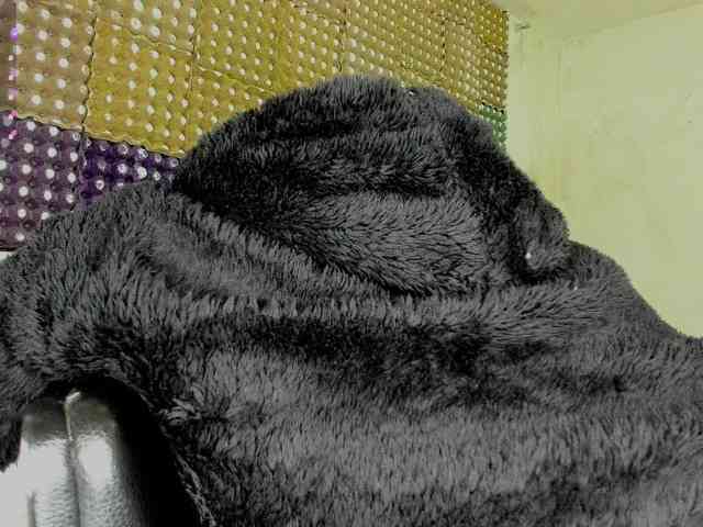 nenita-horny webcam
