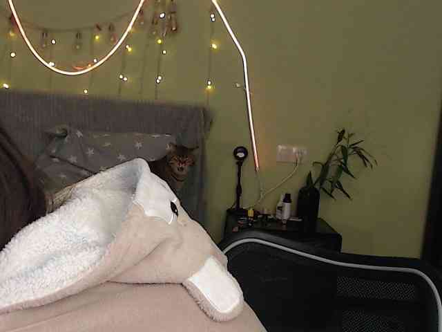 Lilijily webcam
