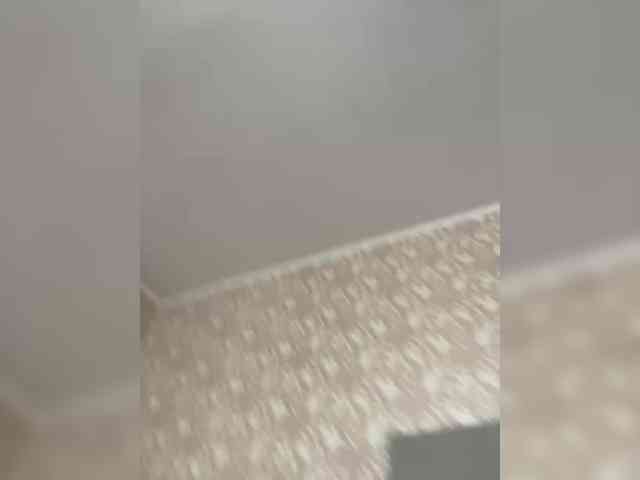 FoxyAlisa webcam