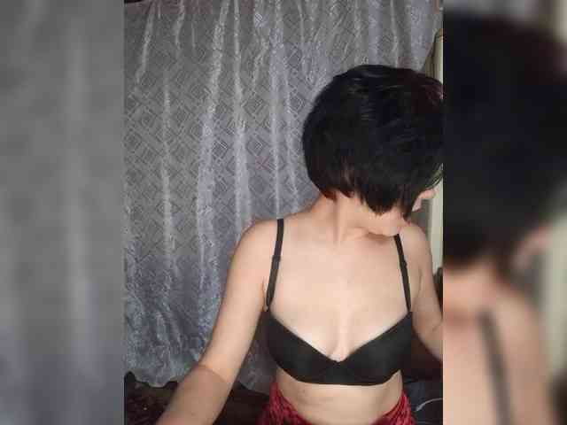 _Dia-Vik_ webcam