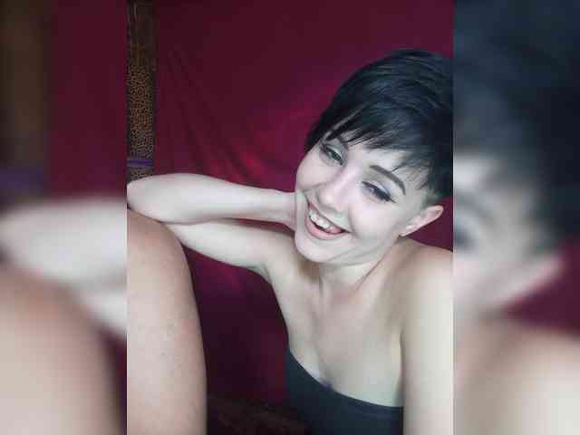 _Dia-Vik_ webcam