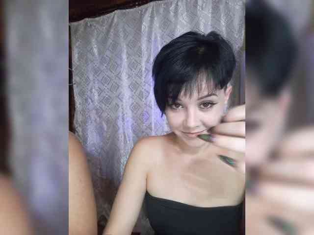 _Dia-Vik_ webcam