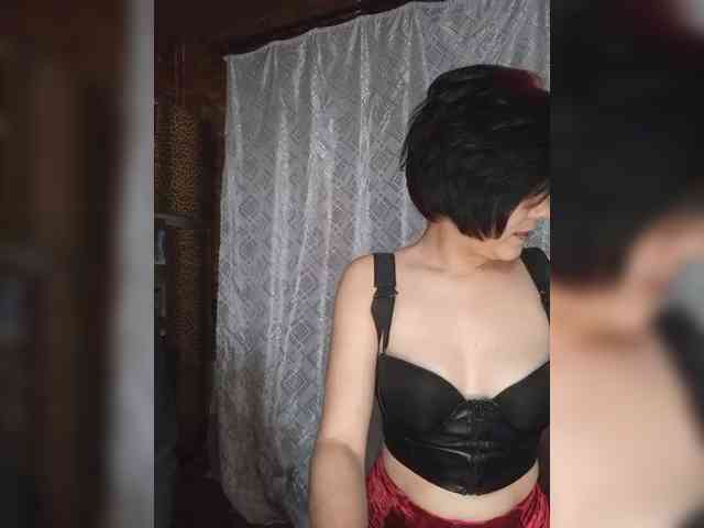 _Dia-Vik_ webcam
