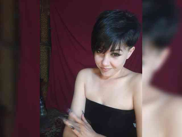 _Dia-Vik_ webcam