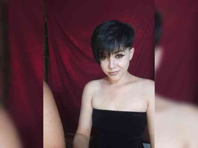 _Dia-Vik_ webcam