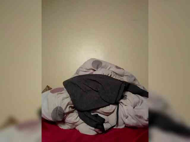 Minlavine webcam