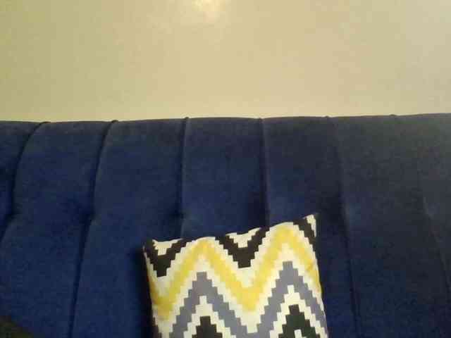 Minlavine webcam