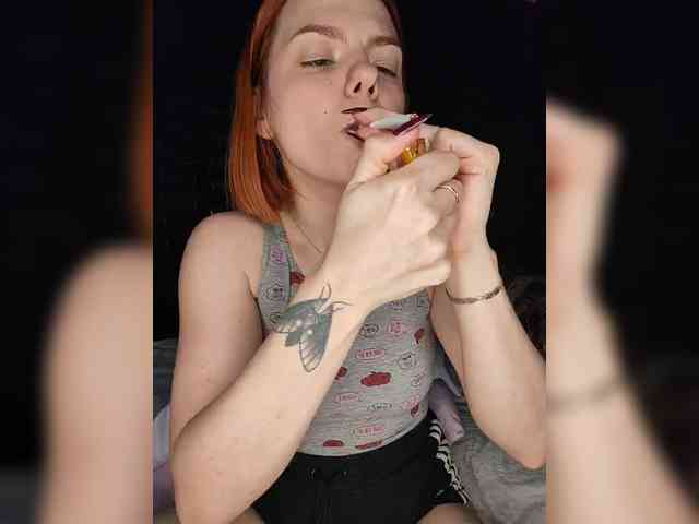 AliceRabbit webcam